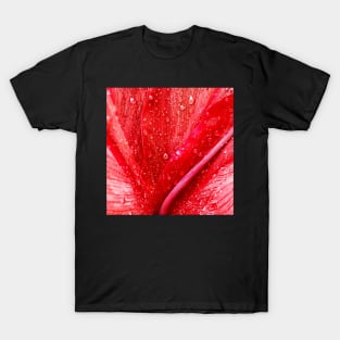 Rain on a Red Calla Lily T-Shirt